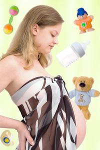 Nest Consulting Baby Planner Service